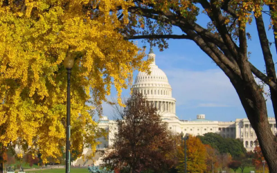 Capitol in the fall