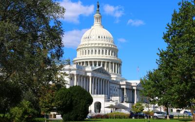 Capitol and trees