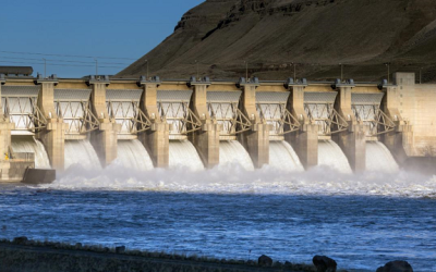 Lower Snake River Dam