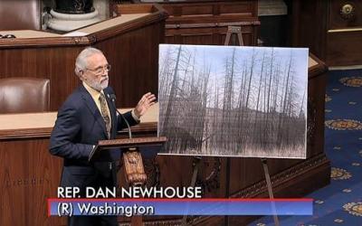 Dan Newhouse Federal Forests
