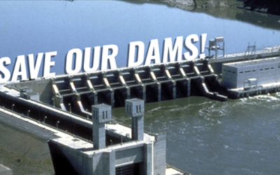 Dan Newhouse Save Our Dams