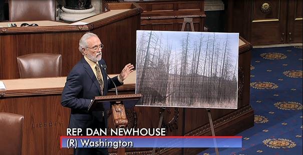 Dan Newhouse Federal Forests