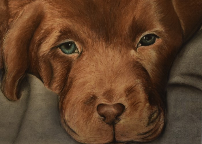 Puppy Love - Mary Grace Running Teske