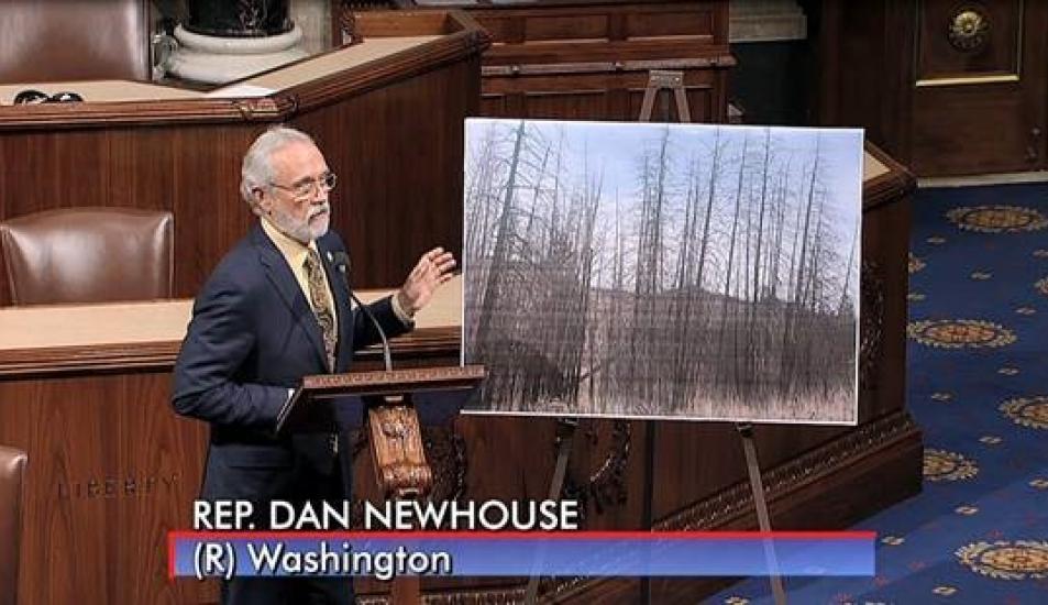 Dan Newhouse Federal Forests