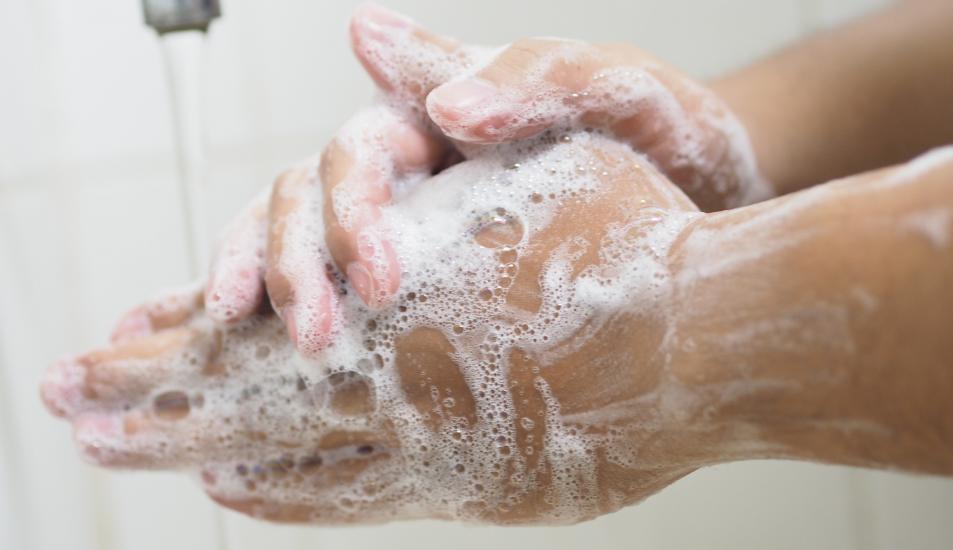 Washed hands