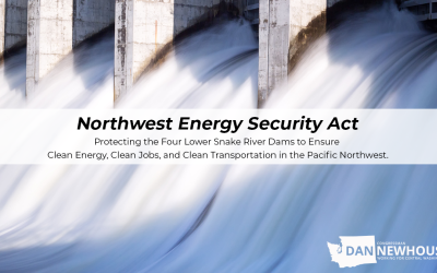 Northwest Energy Security Act