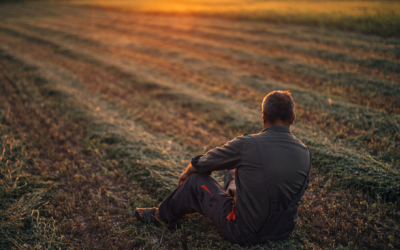 2020 cp member farmer sunset